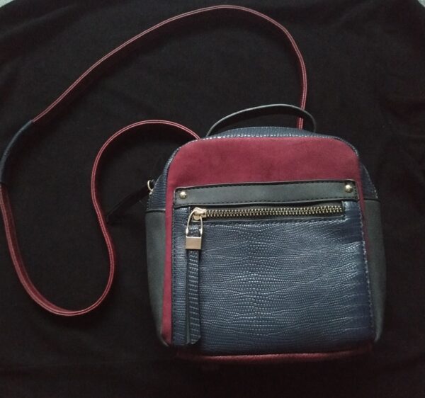 2 in 1 Purse Backpack